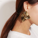 Big  Irregular Earrings