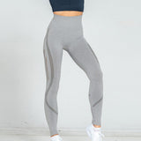 Mesh Hips Leggings