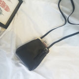 Crossbody Classic Bag