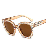 Designer  Sunglasses