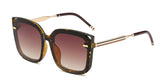 Big Frame Sunglasses