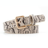 Vintage Snake Belt